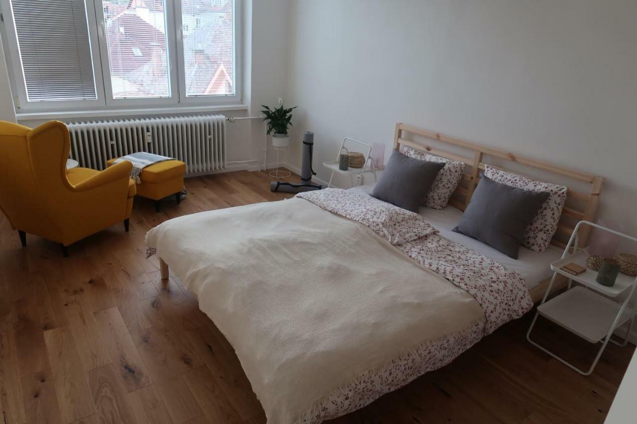 Hniezdo V Raji 1 - Luxurious Apartment 3 Min Walk To City Center Spišská Nová Ves Eksteriør billede